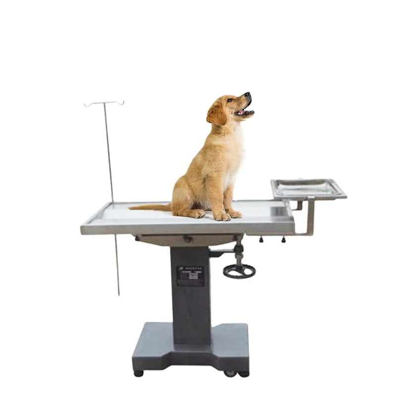 

HC-R009 Pet Animals Medical Operation Table/Veterinary surgery table,Vet Surgical Operation bed