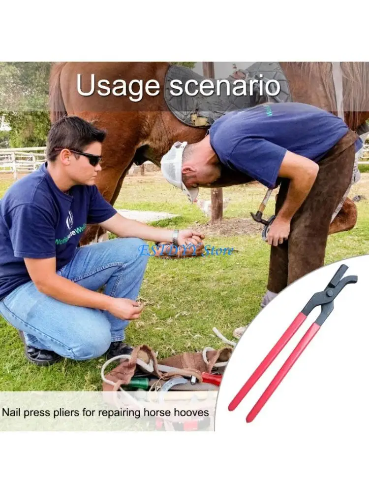 

G6DE Stainless Steel Hoof Nails Clincher Horseshoe Pliers Hoof Trimming Tools