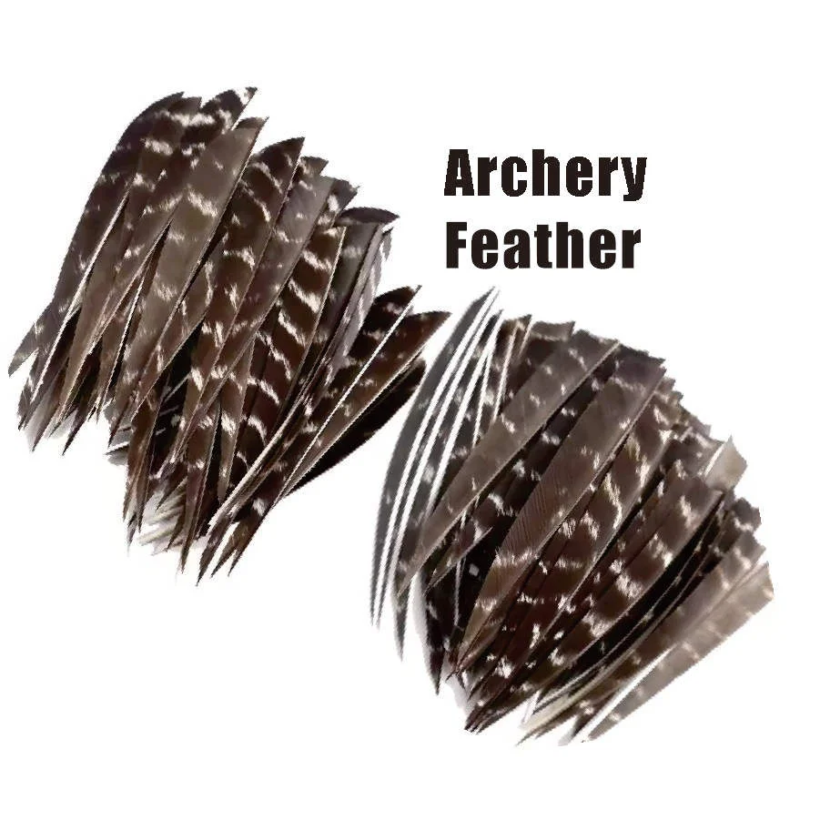 50 stücke Bogenschießen Türkei Feder Befiederung 4/5 Zoll Natürliche Pfeile Befiederung Rechte Flügel Flügel für DIY Zubehör Jagd Schießen