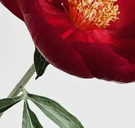 7 "شاشة أندرويد سيارة الوسائط المتعددة 2 الدين راديو لتويوتا بريفيا Estima Tarago 2000-2006 اللاسلكية Carplay أندرويد السيارات ستيريو لتحديد المواقع #1