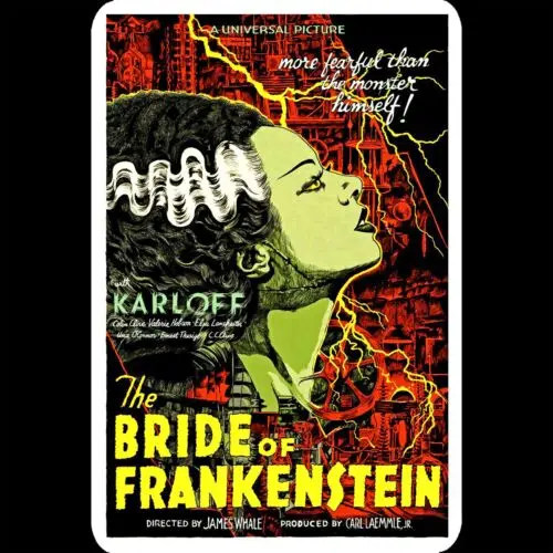 Horror Tin Metal Sign  Bride of Frankenstein 1935 Movie Head Illustration