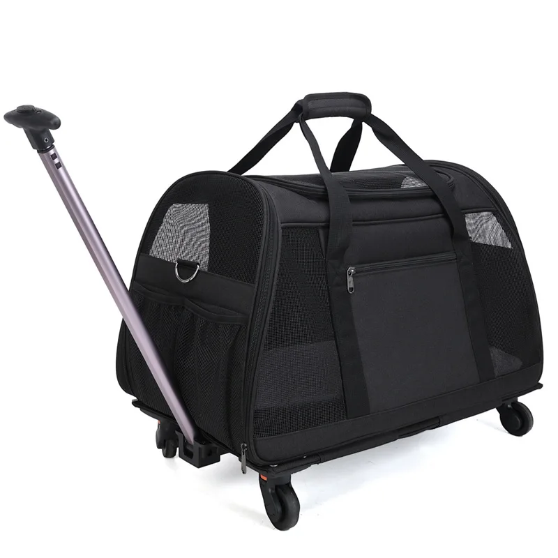 2026 New Pet Pull-A…