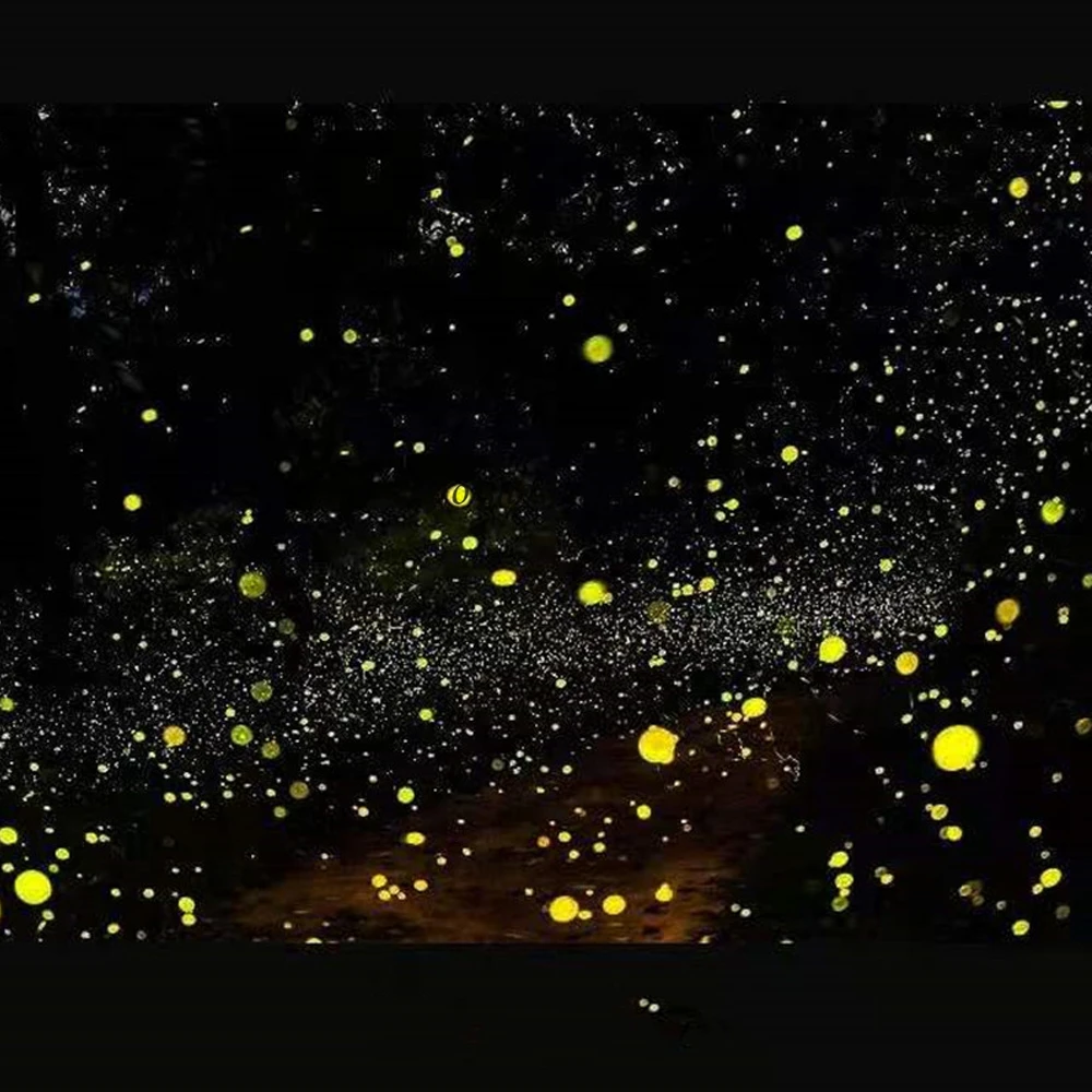 Firefly lazer işığı IP65 su geçirmez lazer noel işık açık bahçe lazer işıkları projektör veranda bahçe ev odası dekor için