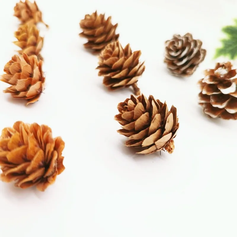 

Natural Attractive Simulation Decorative DIY Fake Pine Cone Widely Use Pinecone for Festival