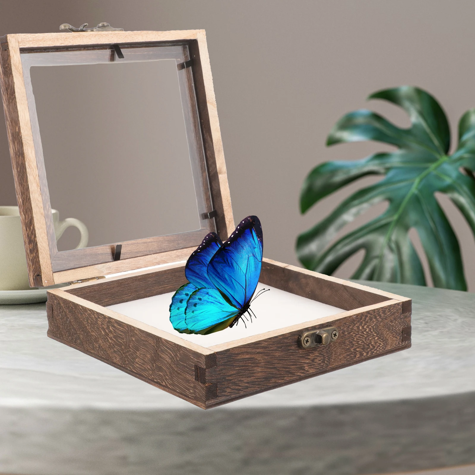 

1 Set Butterflies Wooden Display Case Dried Flower Storage Vintage Frame Box Plant Display Cases Wood Showcase Lid Specimen