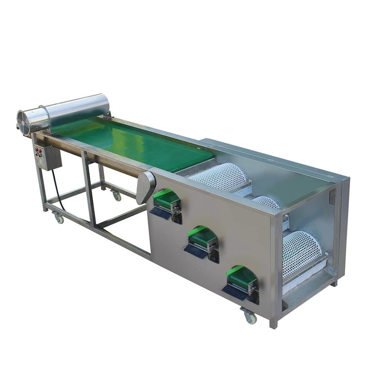 Good Price Fruit Selecting Equipment Almond Blueberry Guava Grading Sorting Sizing Machine