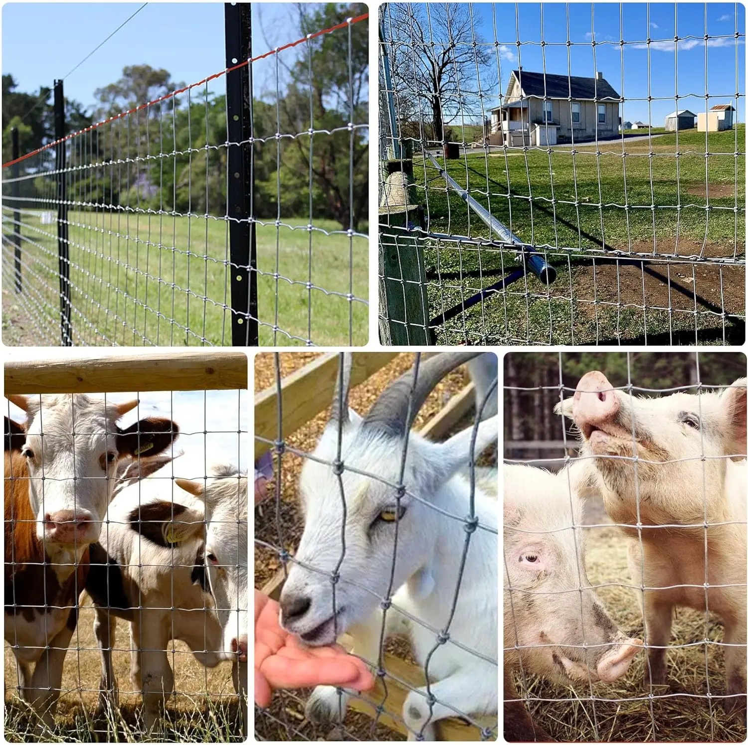 سياج حصان عالي التحمل مقاس 4 × 50 قدم، شبكة مقاس 2 × 4 بوصة، سلك مقاوم للصدأ للماشية والحديقة