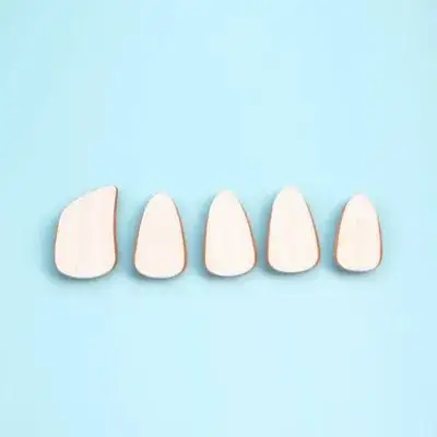 

5pcs Pipa Nails Professional Fake Nail Covers Durable Pc Material Smooth Finger Protection Covers For Guzheng