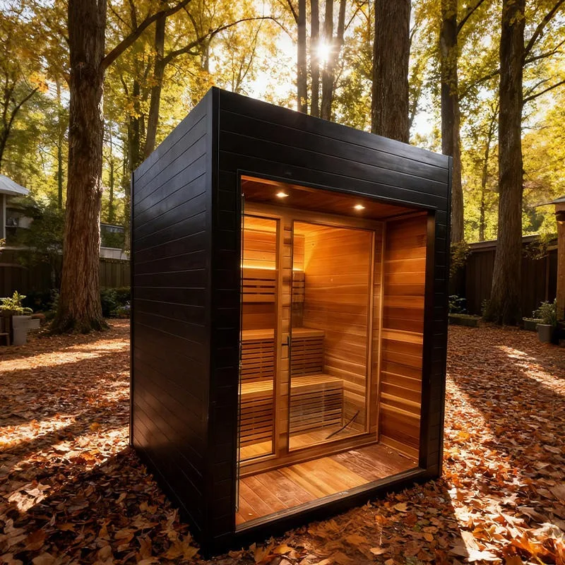 Garden Outdoor Sauna Dry Steam Function 220v Relaxation Park Villa 1-6 Person Control Panel Buy Now