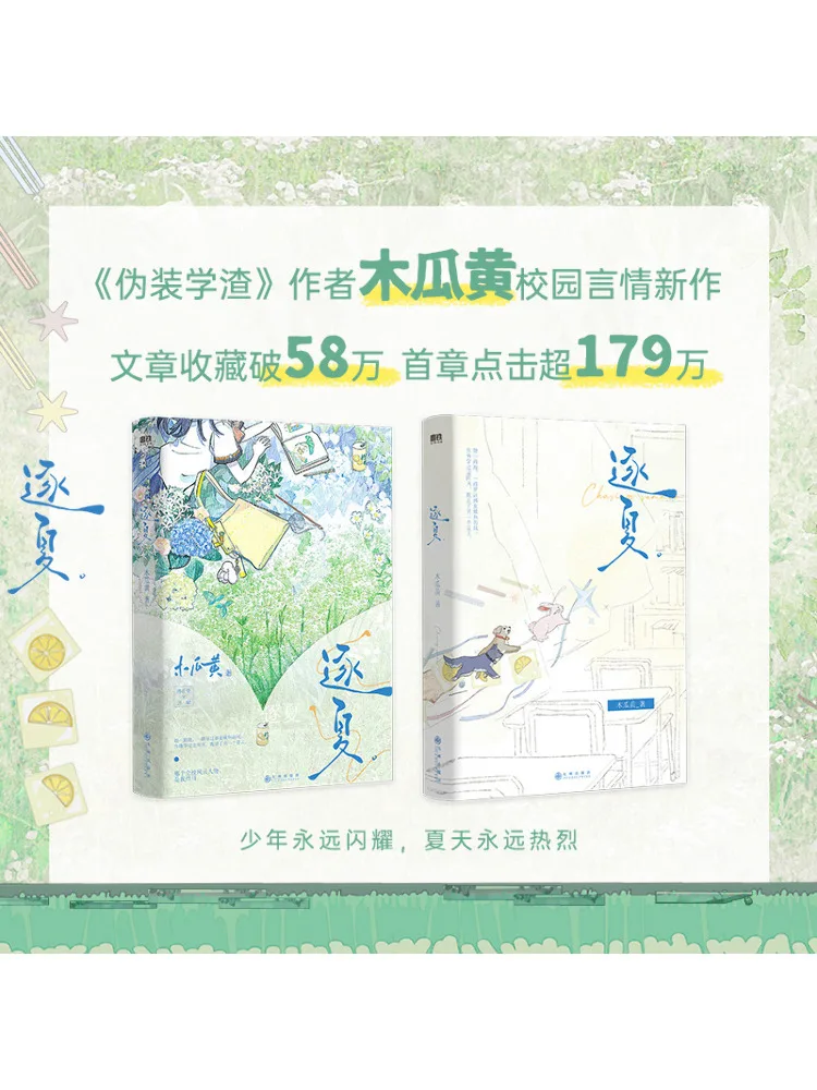 Książka-Winshare Chasing Summer