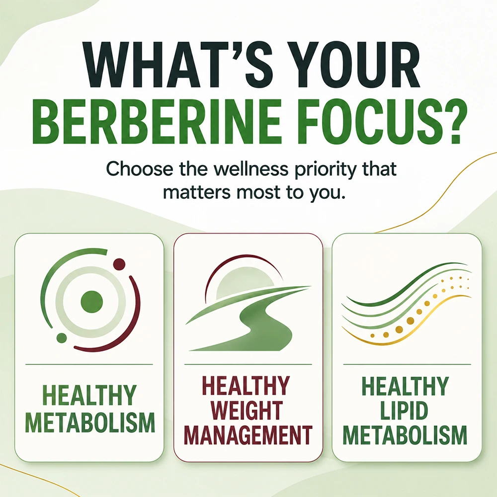 Berberine 1000mg with MCT Oil, - Berberine Hcl Capsule recension och pris