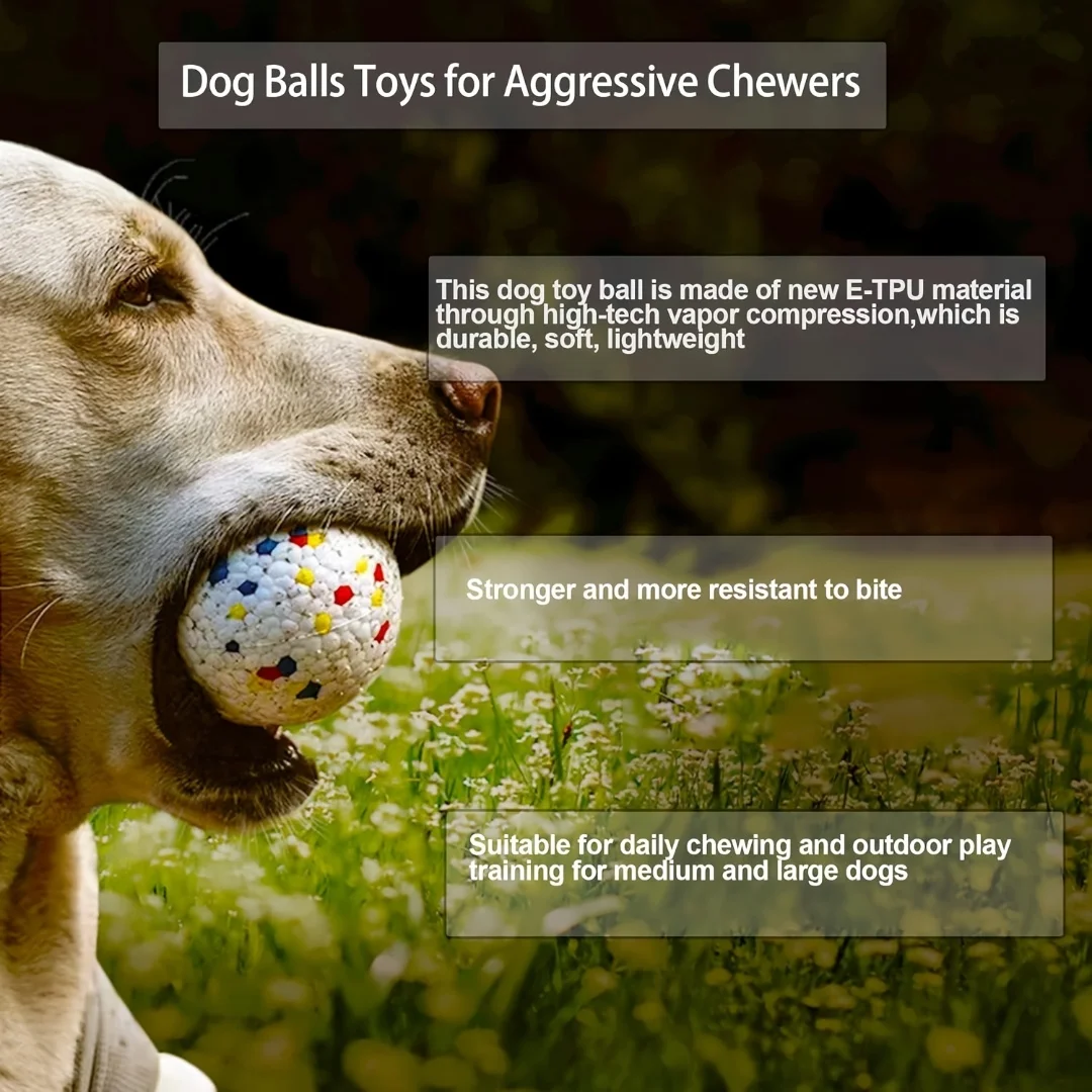 Unbreakable dog chew toy-interactive ball for dogs who like to chew