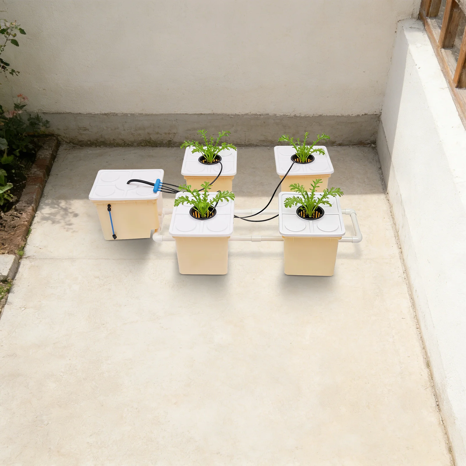 Image of 5 Eimer DWC Hydroponik-Anbausystem-Kit, je 11L, PP-Spritzguss-Pflanzeneimer, 4W IPX8 Tauchwasserpumpe, 300L/h Durchfluss mit Netzbechern, Tonkugeln, Wasserstandsschlauch für Balkon, Garten, Gemüse-