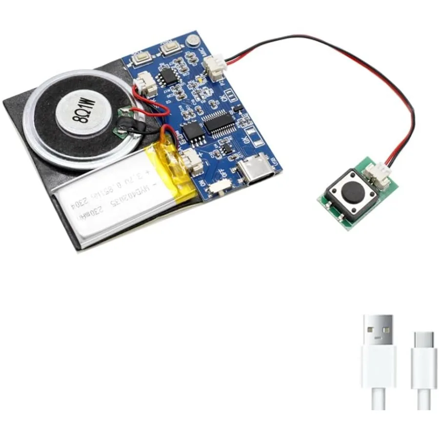 

Модуль — кнопочный активированный звуковой модуль 16 МБ с динамиком, кабелем типа C и простым возможностью записи, 16 минут для персонала