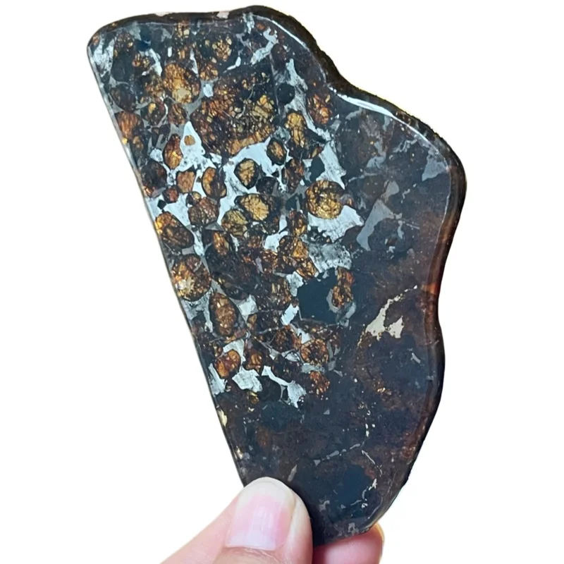 Cosmic Sericho Pallasite Meteorite Fan‑Shaped Sheet Natural Olivine Particle Collection Ornament QA870