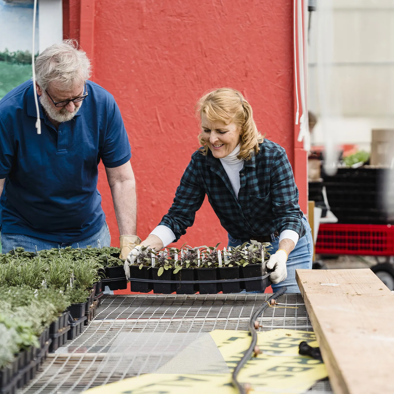 

4Pcs Germination Tray Mesh Pad Durable Seed Growing Sheet Iron Material for Microgreens Sprouts Seedling Seed Mesh Sheet