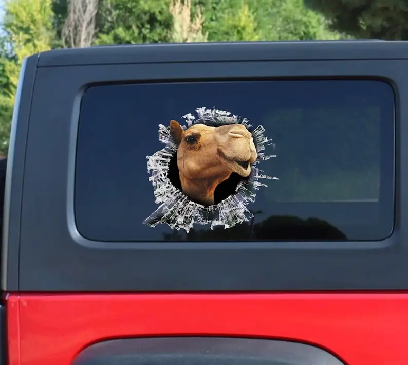 Camel window decal, camel car sticker, camel car decal, funny decal