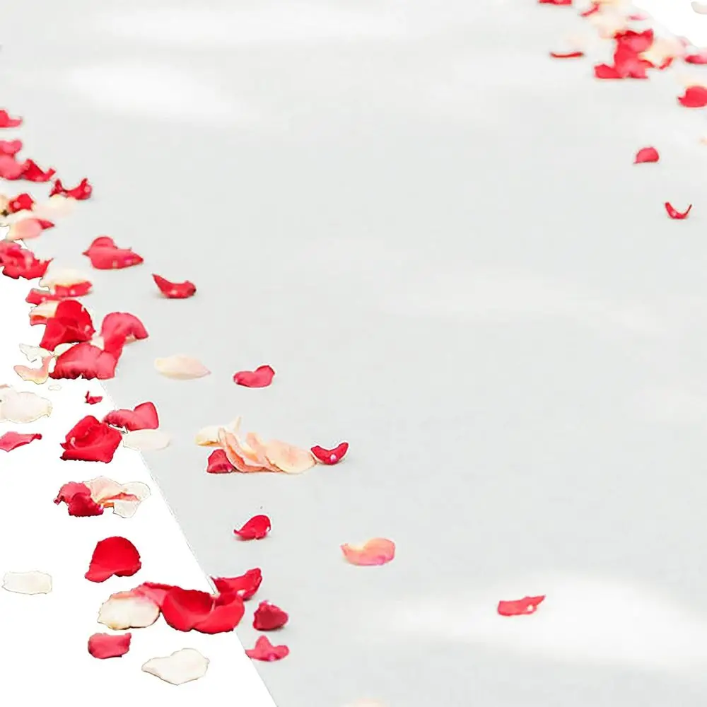 

Extra Wide Aisle Runner - 4ft Wide x 75ft Long