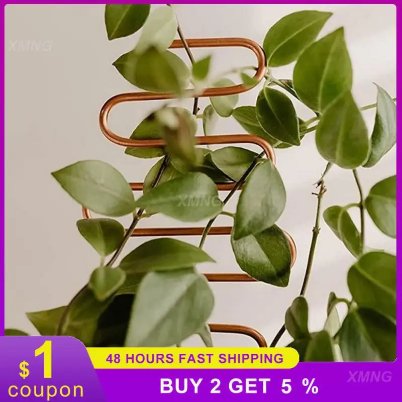 

Iron Flower Pot Holder Complete Specifications Plant Climbing Frame Geometry Stable 10 * 34cm Plant Fixing Rod Non Scratch