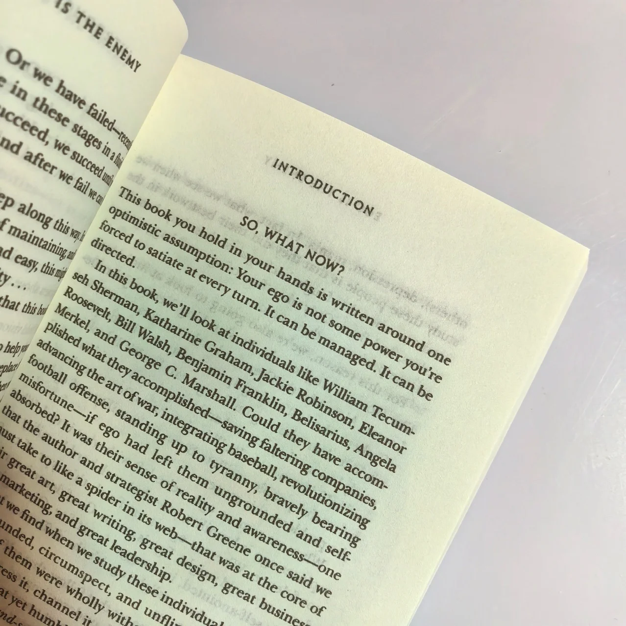 Bview Art English Edition: Ego is the Enemy The Uncompromising Guide to Total Discipline by Ryan Holiday