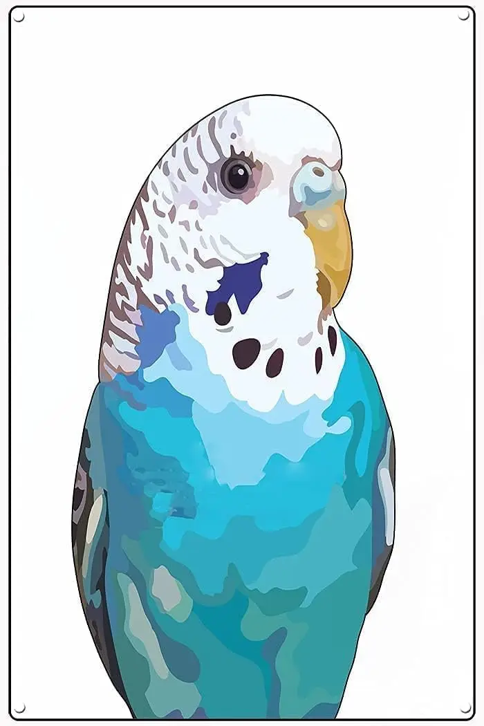 Vintage Metal Tin Sign,  Parakeet Art Print, Waterproof Wall for Kitchen Decor-aluminum sign