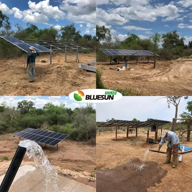 Bluesun Solar Water Pump System  for Agricultural Irrigation Customizable Solar Water Pump