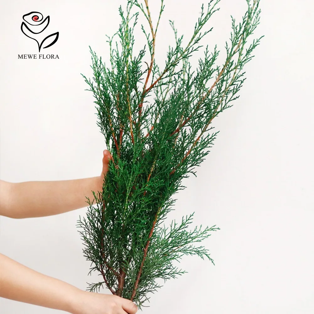 Pine and Cypress Tree Dried Eternal Flowers Christmas Trees Decorative Materials Pine Branches Green Plants for Home Decoration