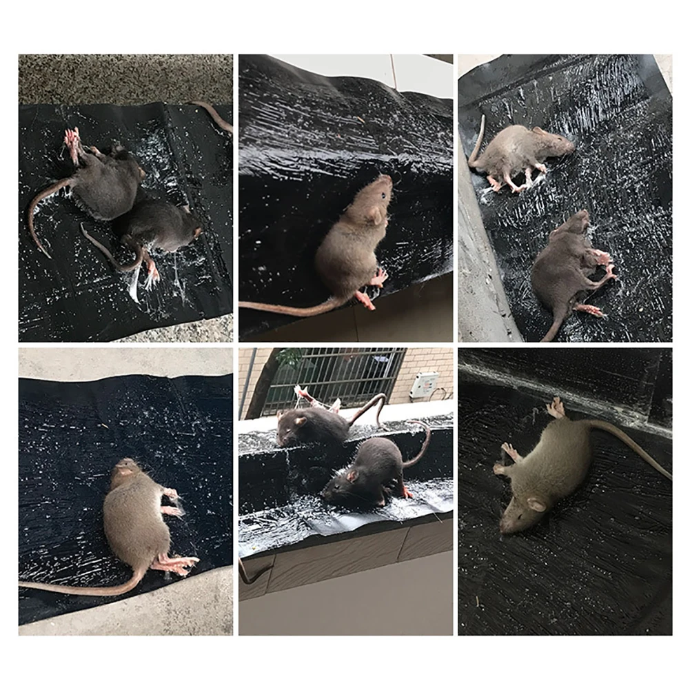 Piège à Souris en Polymères Collants, Tampon de Colle, Panneau de Contrôle Non Coupable, Piège à Rat, Garde de Jardin, 120x27cm, 3 Pièces