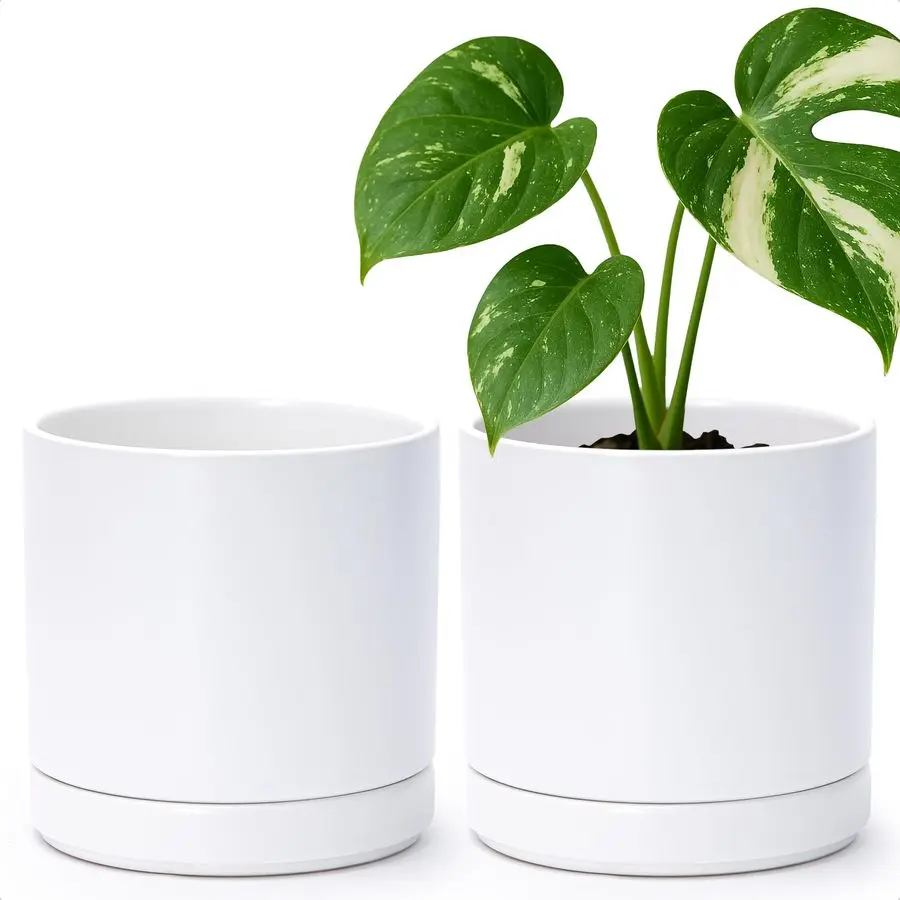 

Dev Set of 2 Plants Pots, 6.5 Inch Ceramic Planter Pot for Plants with Drainage Hole and Saucer, White, 94VC1