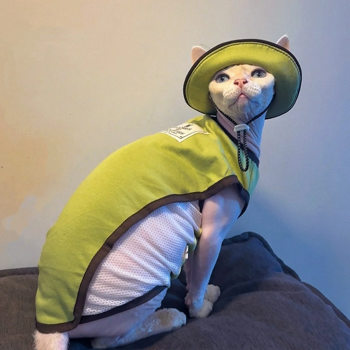 Ropa verano para gatos sin pelo Devon Rex: chaleco malla verde y gorro - imagen 4