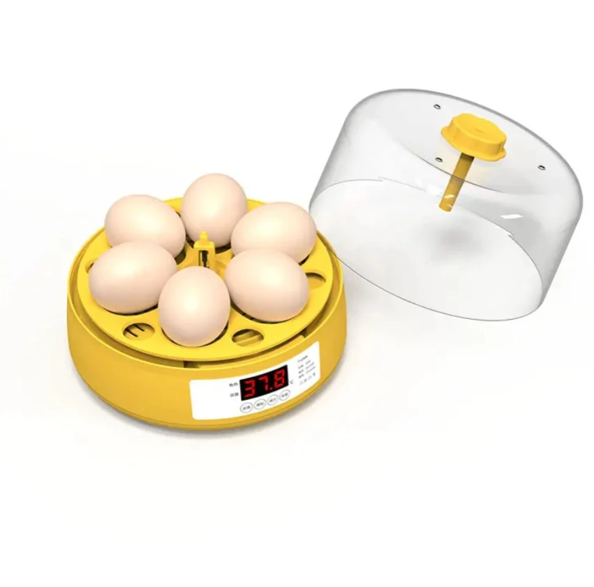Hot Sale Dual Power Full Automatic Mini Incubator for Home Use 4/6/18 Chicken Egg Incubator