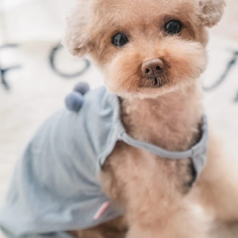 Summer Cotton Dog Clothes Jumpsuit Overalls Rompers Pets Pajamas Pants Pomeranian Maltese Bichon Poodle Schnauzer Clothing