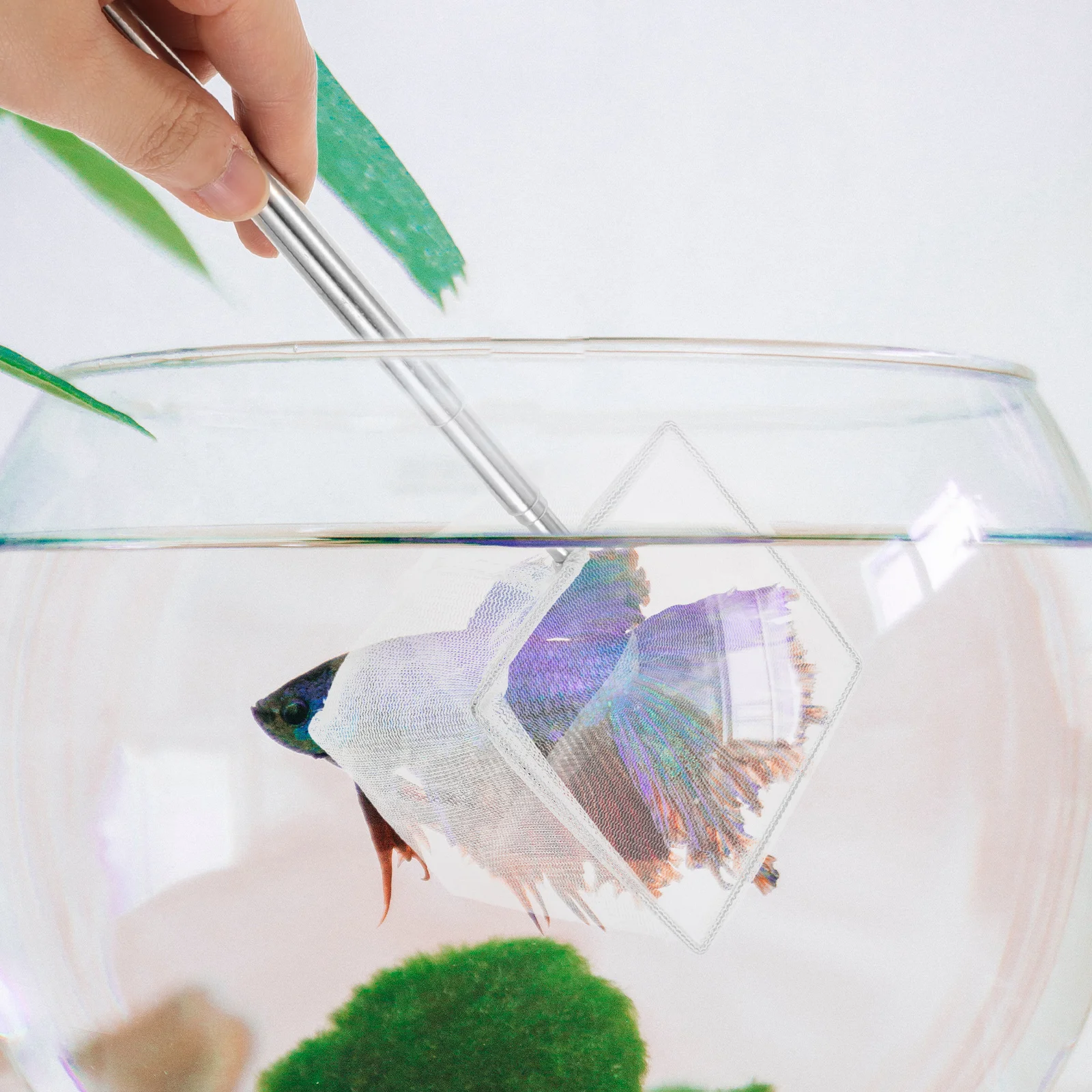 

Stainless Steel Telescopic Fishing Net Foldable 15.7 Inch Extendable Handle Durable Crossweave Mesh Saltwater Freshwater