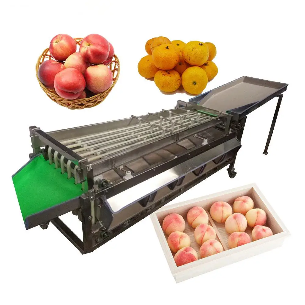 

Multifunctional Fruit &Vegetable Grading Machine Fruit Sorter Avocado Sorting Machine Sweet Potato Grading Machine