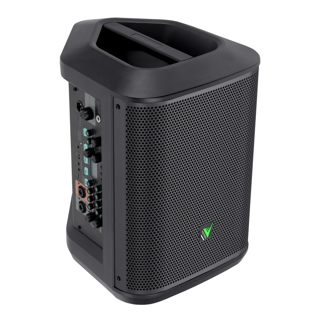 Active 8 inch 2 way Point Source Speaker Professional PA Speaker for Stage Live Gig Church Karaoke
