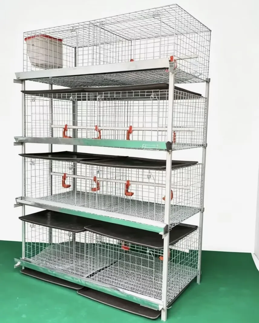 New H Type Broiler Chicken Cage System Battery Poultry Farm 4-Tier 2-Door Cold Galvanized Steel Manure Belt