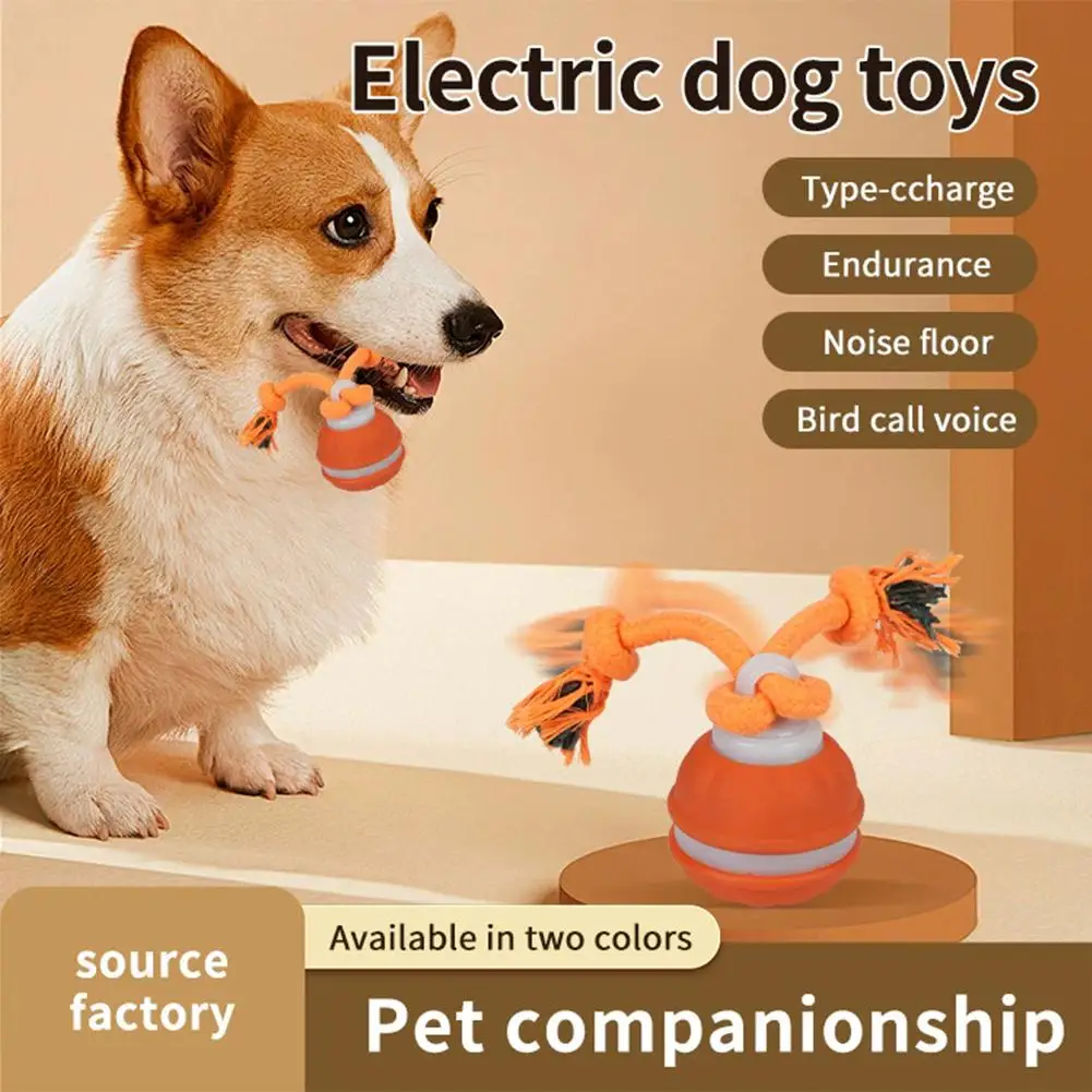 Thumbnail 2 - #51 Best Puppy Balls to Buy In 2026