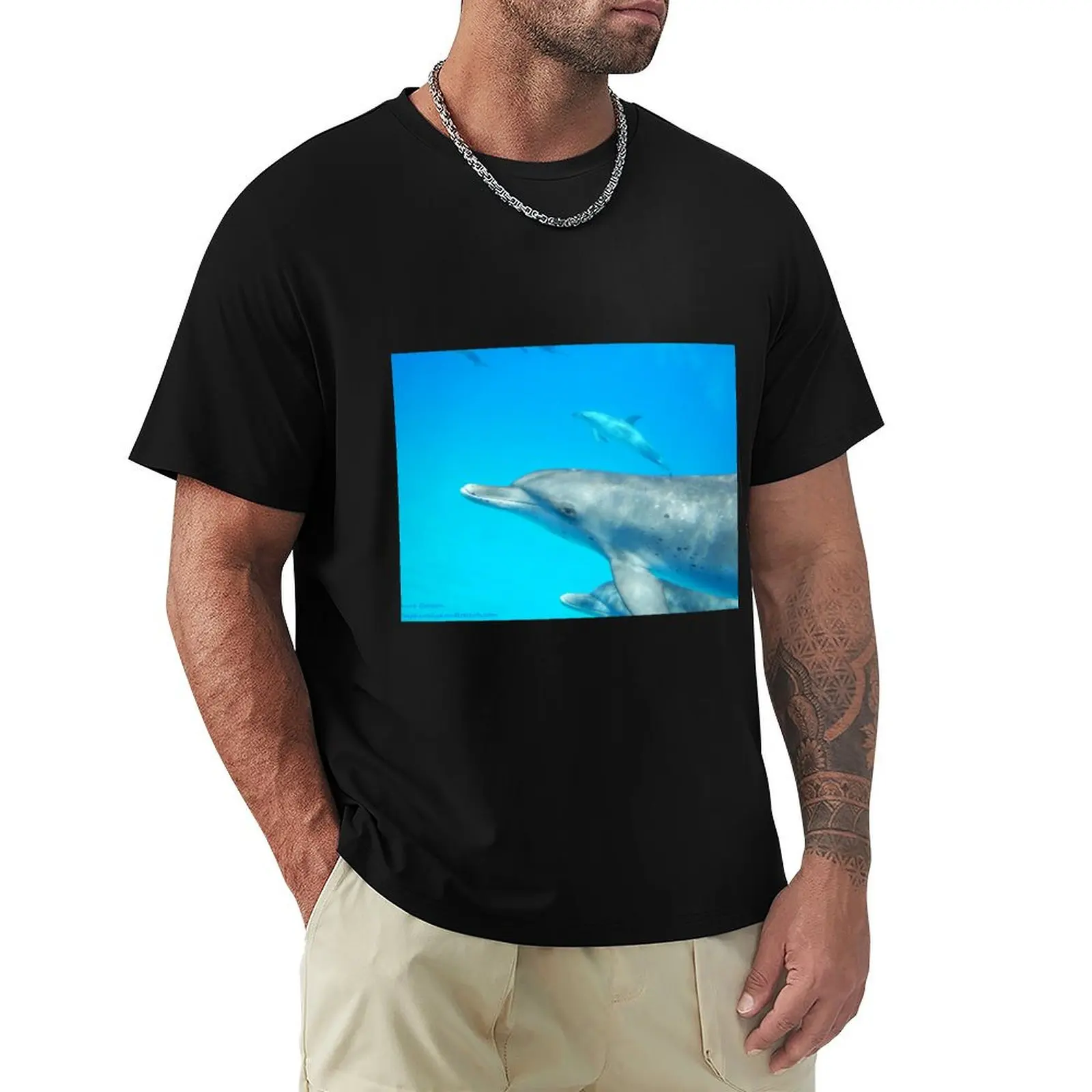 Dolphin Eye to Eye T-Shirt Simple Line Art Print Tee