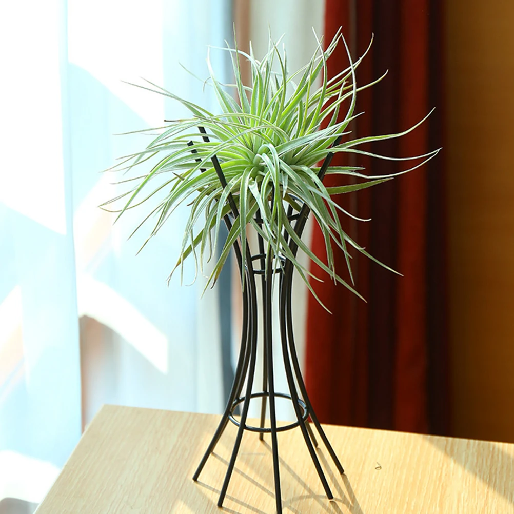 Soilless Plant Bracket Air Containers Display Indoor Plants Holder Pot Metal Stand