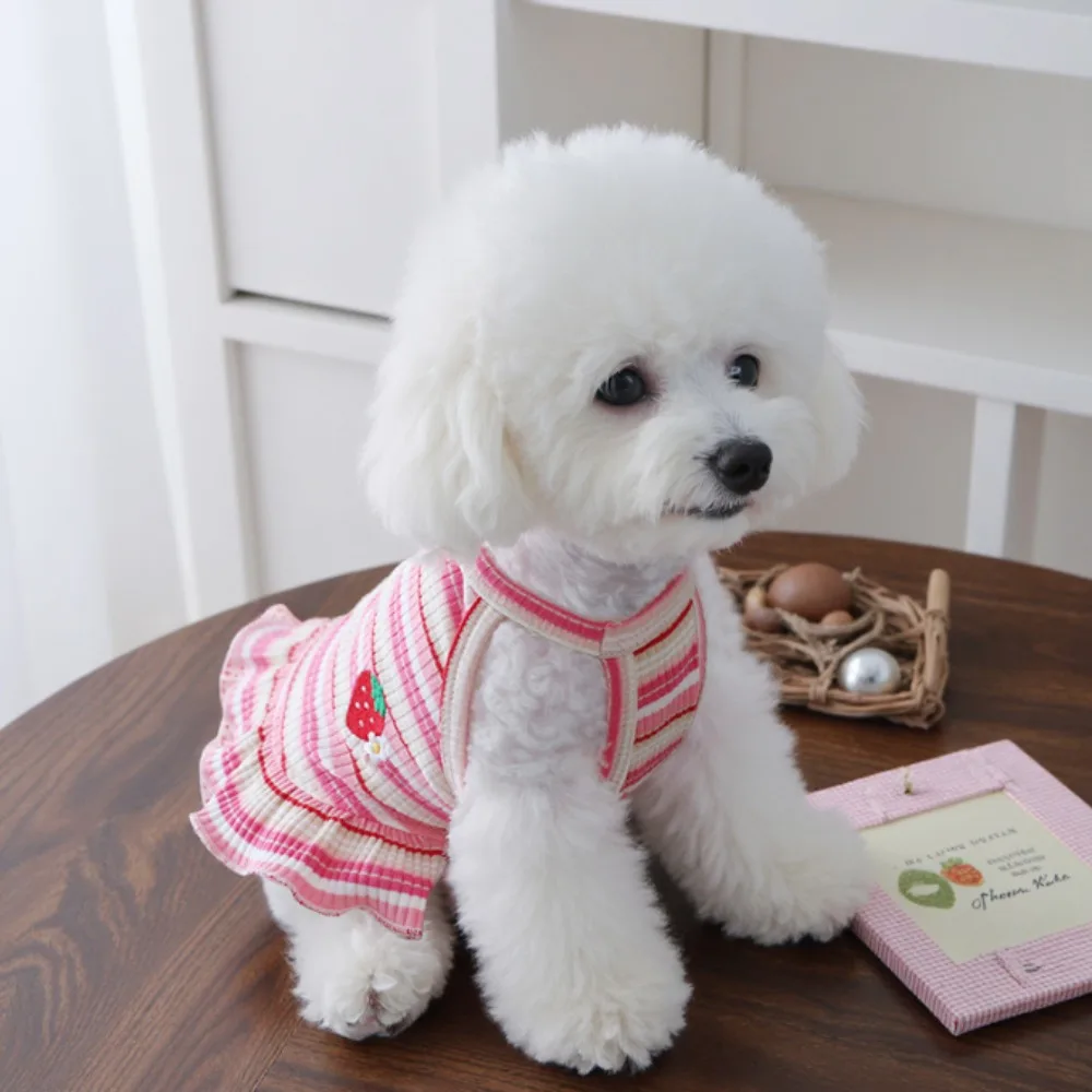 1pc Summer thin pet camisole vest, new embroidered strawberry camisole teddy bear cat camisole skirt