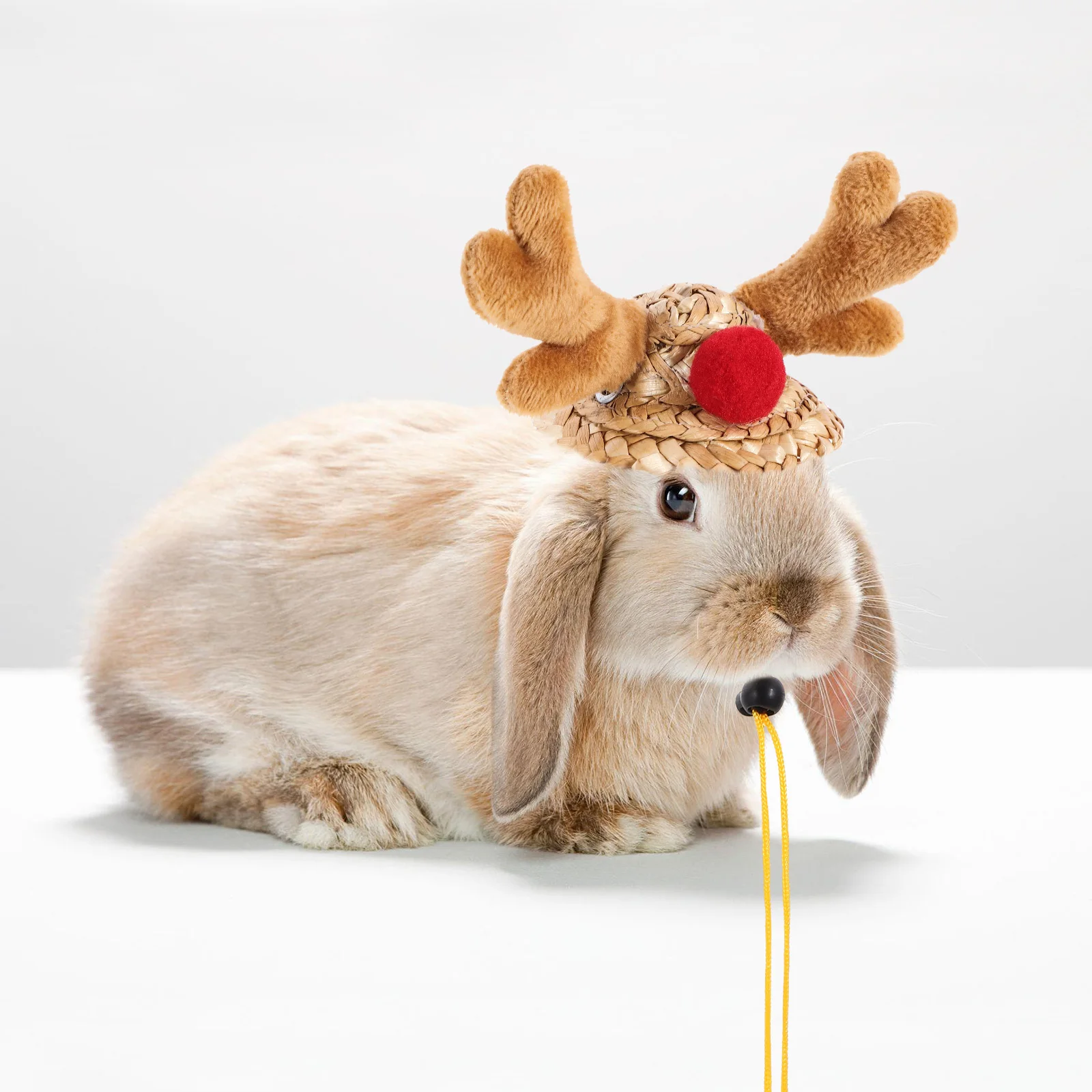 

Adorable Adjustable Christmas Hat for Hamster Small Pet Mini Holiday Costume Cap Photo Prop Accessory Hamster Cartoon Hat