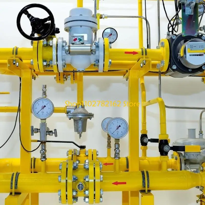 

547B Easy To Install DN20 Water Pressure Adjustment Valves With Gauges For Recreational Vehicles Secure Sealing Technology