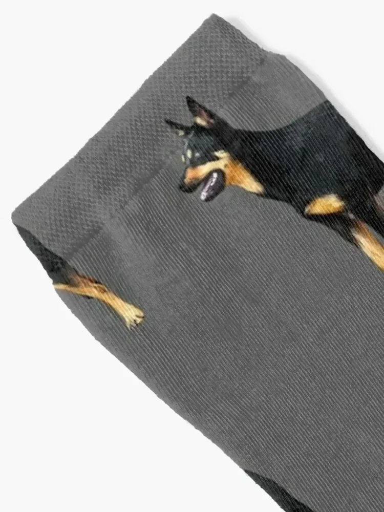 Kelpie- Australian Black and Tan Kelpie Socks Lots new in's christmas gift basketball Socks Male Women's