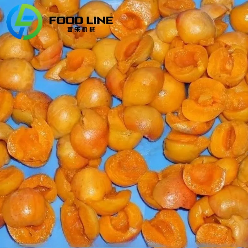 Kommerzielle Prune Core Removal Separating Machine Apricot Amla Seed Destone Pitting Machine Core Pitting Machine Dates Olive