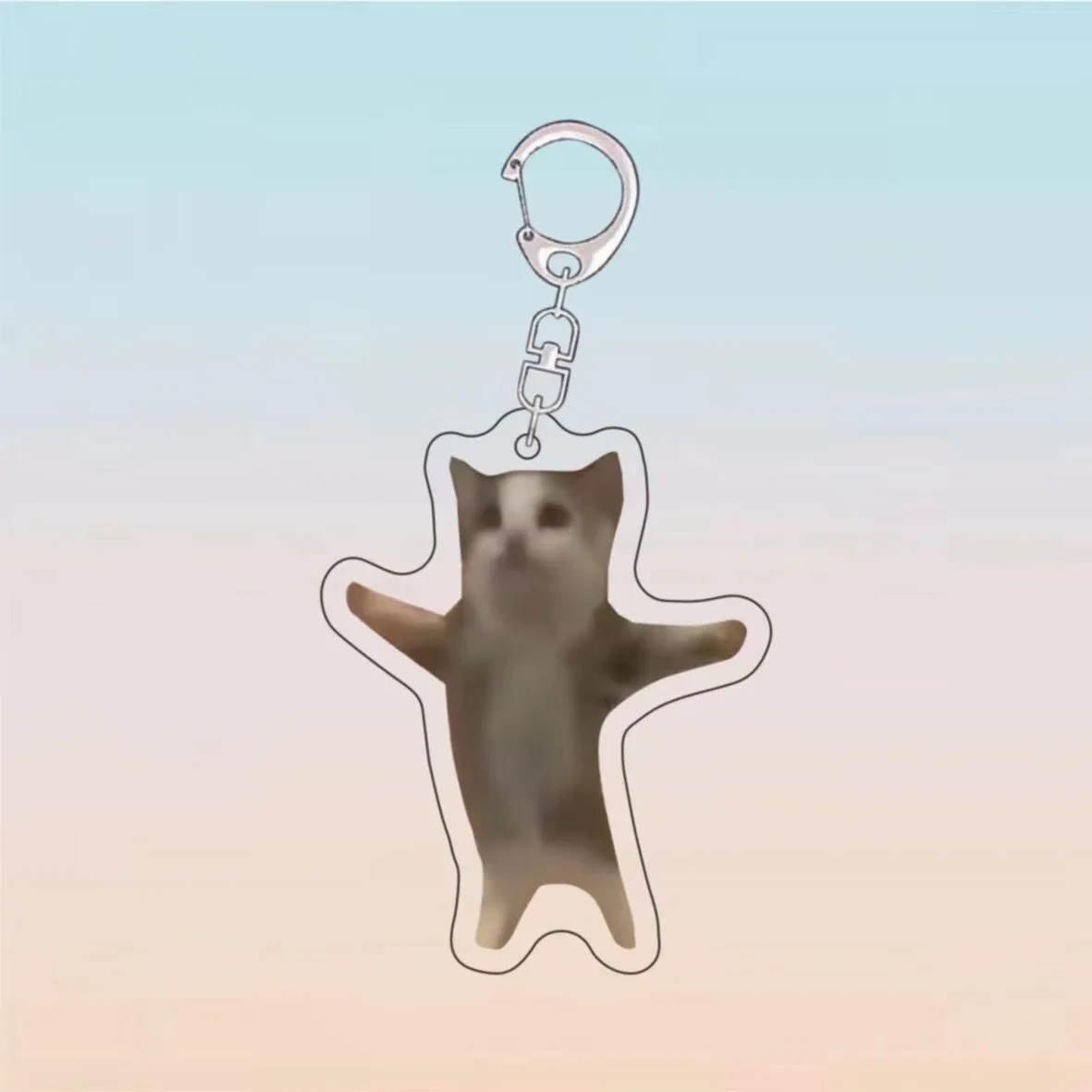 Funny Cat Pendant Keychain Metal Men Car Key Chains Accessories Link Chain Resin Happy Banana Bag Pendant Key Ring Student Gift