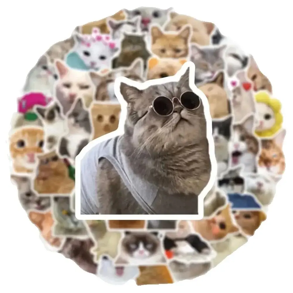 50 قطعة من ملصقات خربش القط الكرتونية اللطيفة العصرية لتزيين كوب الأمتعة المحمول على الجيتار بنفسك