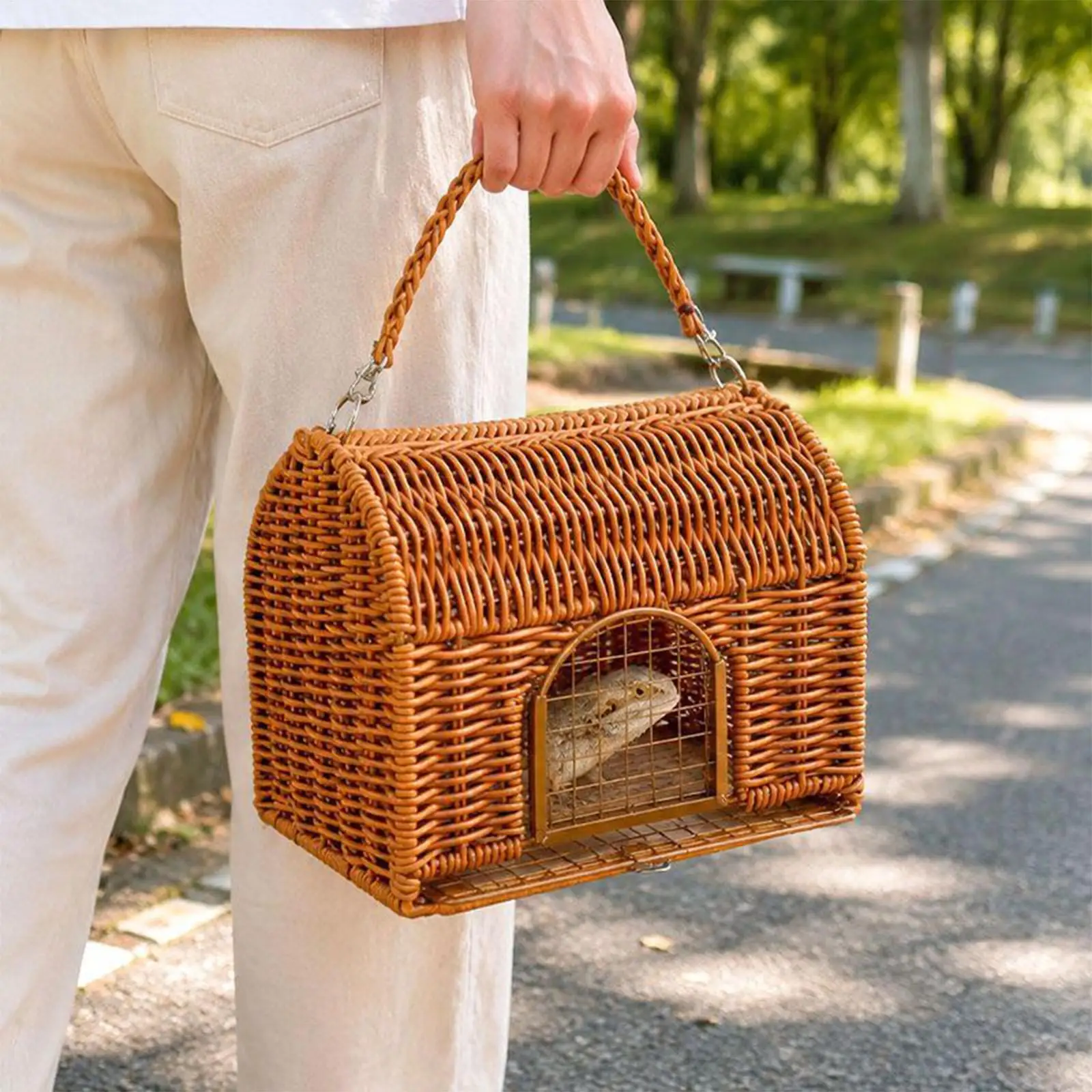 

Reptile Travel Carrier Transport Sleeping Nest With Handle All Season Washable Rattan Bird Carrier Travel Cage For Lizard