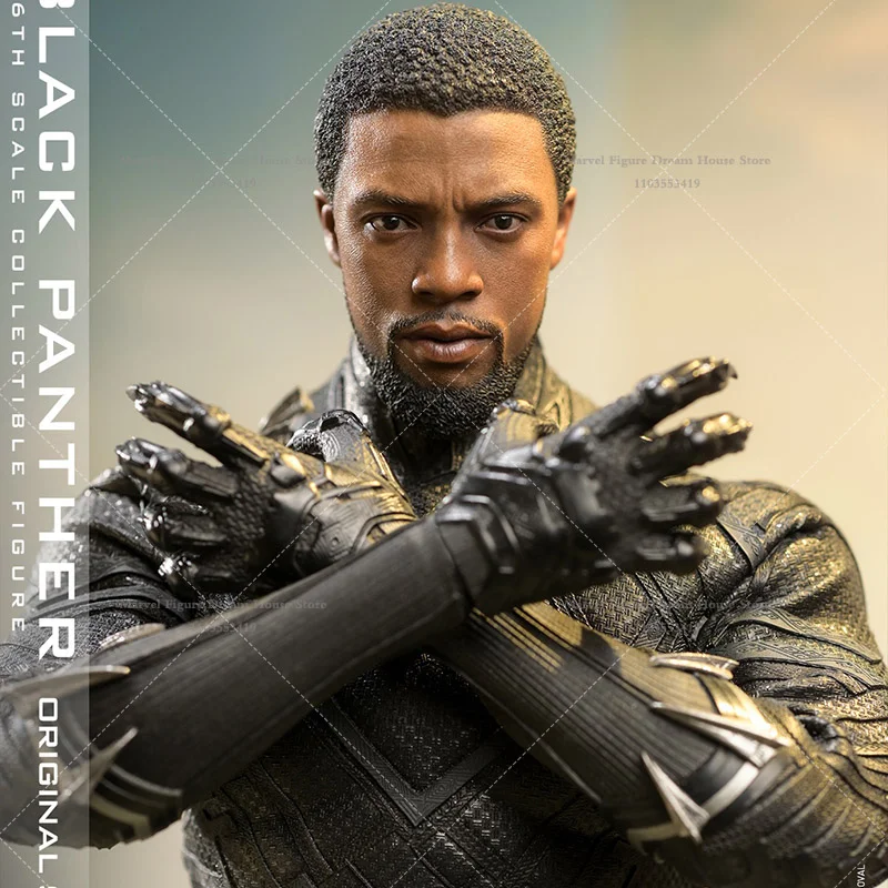 HOTTOYS MMS671 1/6 Scale Marvel Eternal Legend Black Panther T'Challa  African Continent 12-inch Full Set Action Figure Soldier