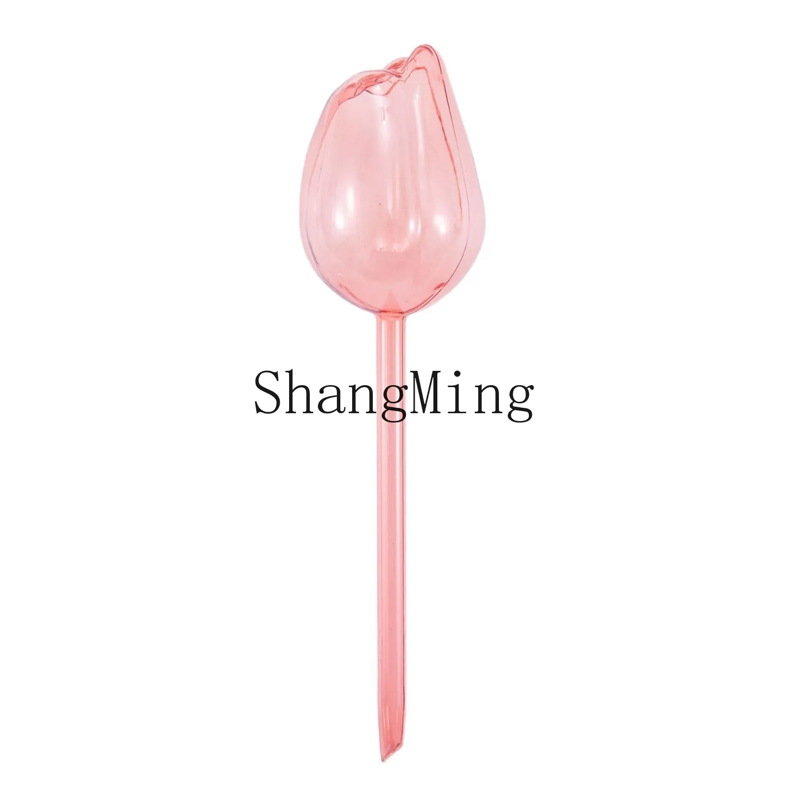 Dsa Tulip Watering …