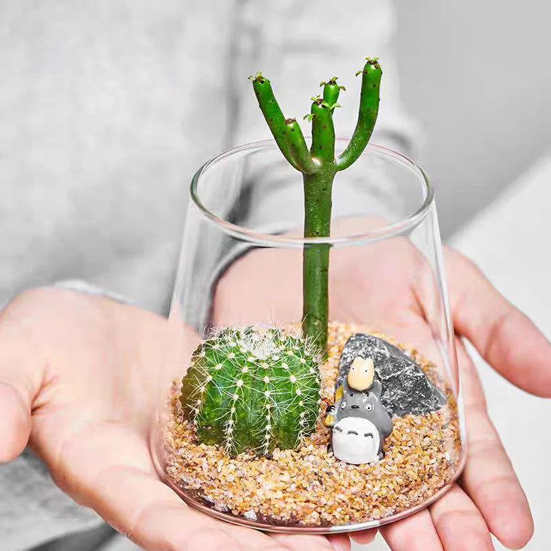 マイクロランドスケープガラスボトル,緑の多肉植物の花瓶,サボテン